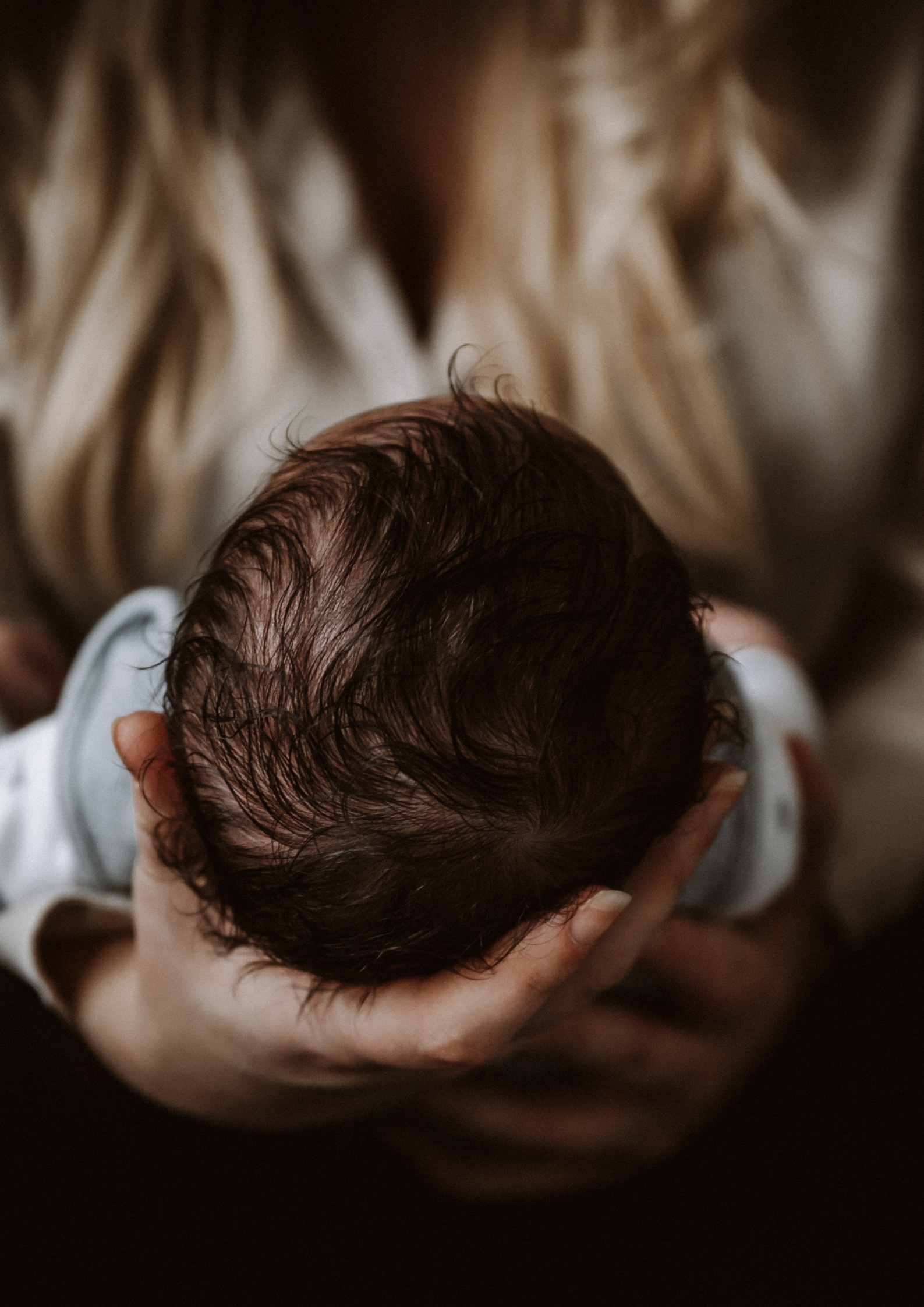 Pasgeboren baby veilig opgerold tijdens newborn fotoshoot, Hoorn