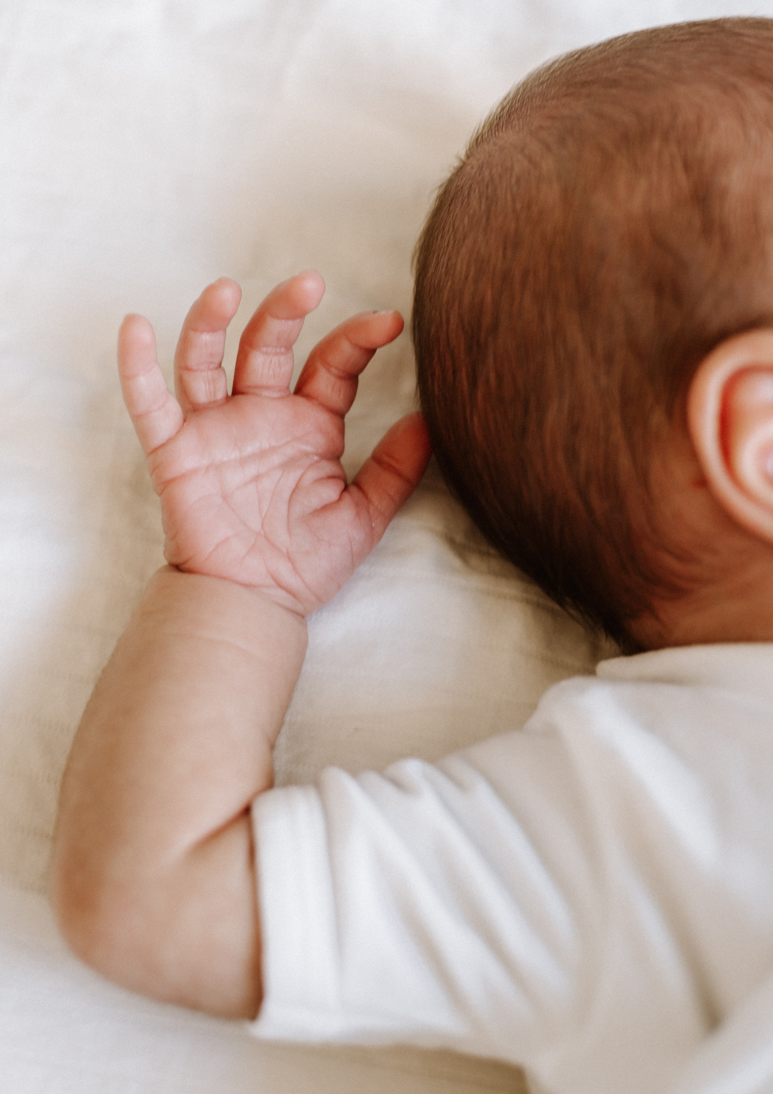 Newborn fotoshoot door Lijn 10 met baby in rust, Hoorn